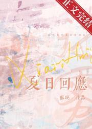 夏日回应免费阅读完整版